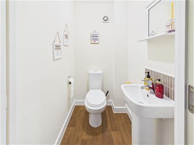 Picture 7